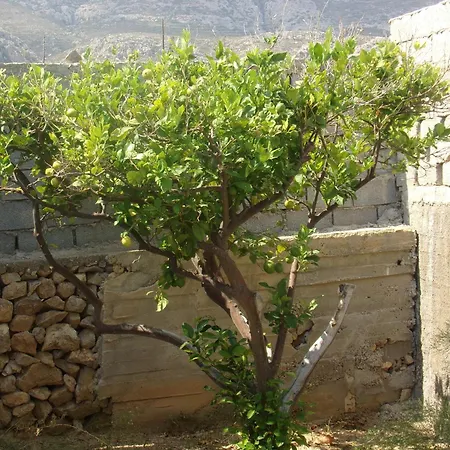 Mikes Apts Appartement